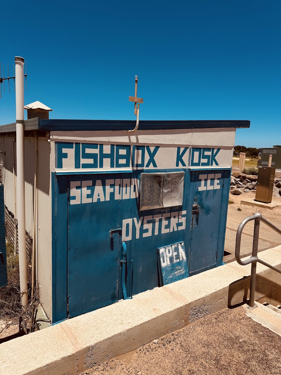 The Fish Box Kiosk